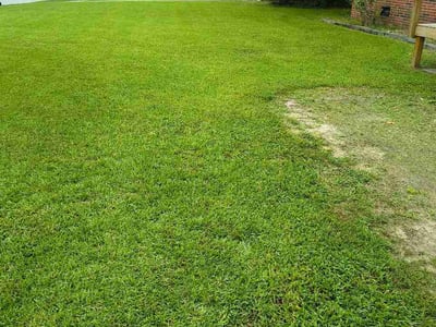 Lawn care service in Tarboro, 27886