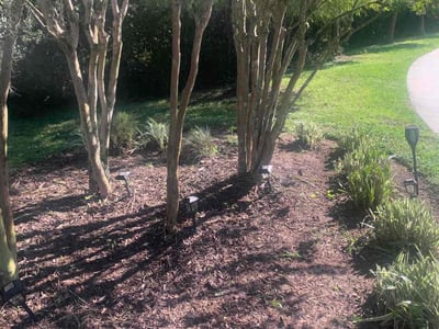 Lawn care service in , 