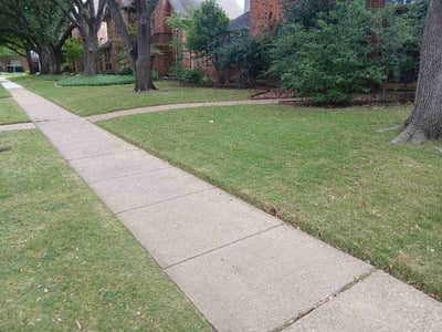 Lawn care service in Plano, 75093