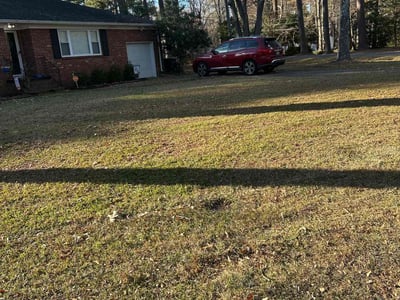 Lawn care service in Virginia Beach, 23452