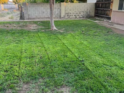 Lawn care service in Mesa, 85204