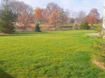 Lawn care service in Zionsville, 46077