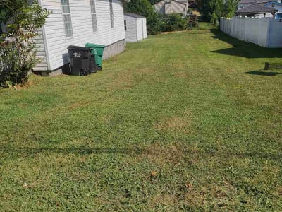 Lawn care service in Colonial Heights, 23834