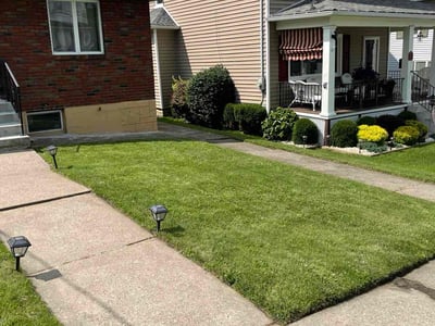 Lawn care service in Scranton, 18505