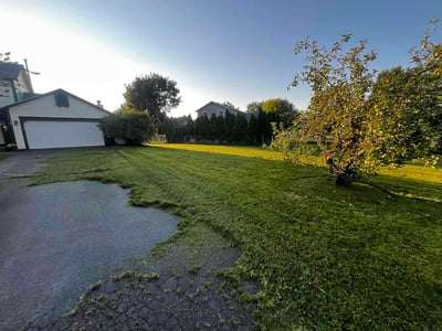 Lawn care service in Rochester, 14612