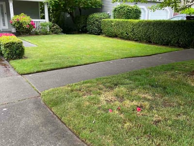 Lawn care service in Tacoma, 98407