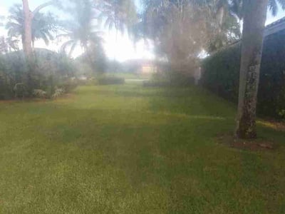 Lawn care service in West Palm Beach, 33412