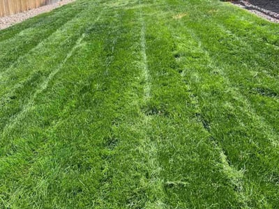 Lawn care service in Colorado Springs, 80925