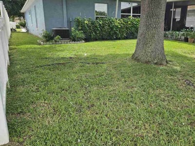 Lawn care service in Tampa, 33625