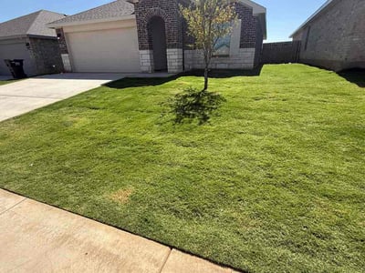 Lawn care service in Wolfforth, 79382