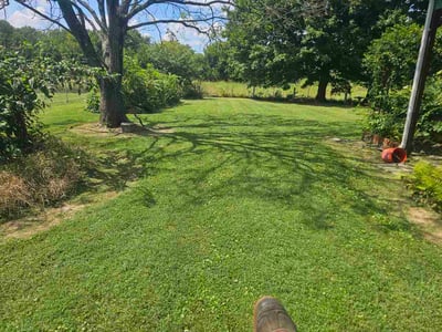 Lawn care service in Louisville, 40229