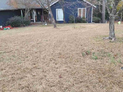 Lawn care service in Fayetteville, 28303