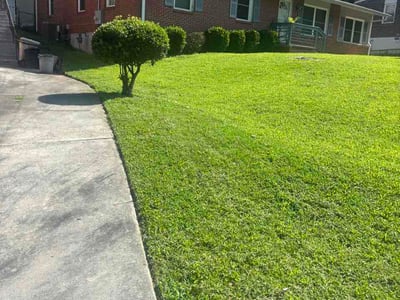 Lawn care service in Atlanta, 30318
