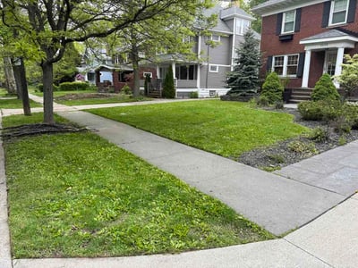 Lawn care service in Cleveland Heights, 44118