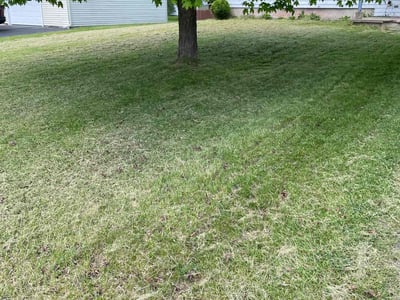 Lawn care service in Salina, 13088