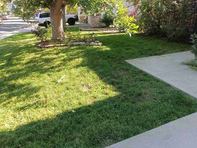 Lawn care service in Parker, 80134