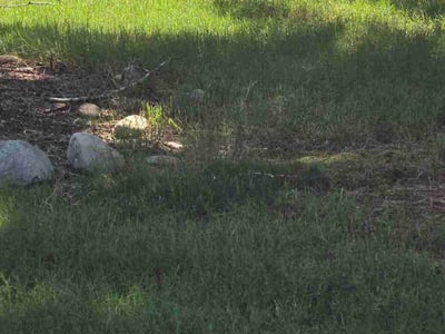 Lawn care service in Fort Mill, 29715