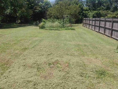 Lawn care service in Nashville, 37216