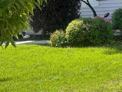 Lawn care service in Whitestown, 46075