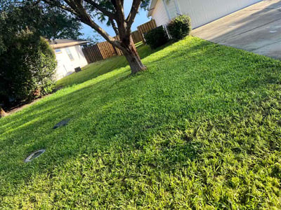 Lawn care service in Newberry, 32669