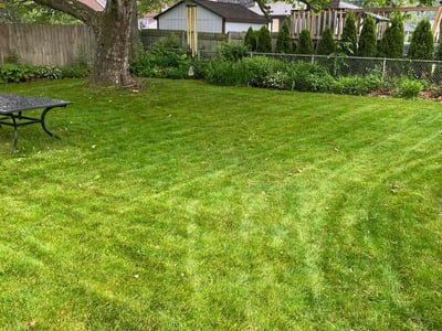 Lawn care service in Buffalo, 14223