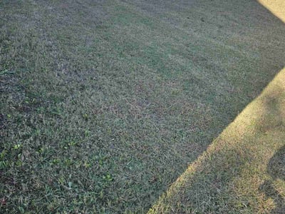 Lawn care service in Waxhaw, 28173