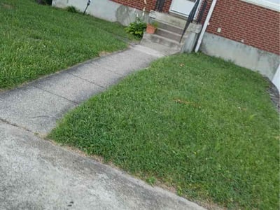 Lawn care service in Cincinnati, 45248