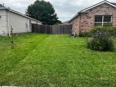 Lawn care service in Arlington, 76002