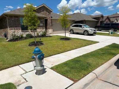 Lawn care service in Royse City, 75189