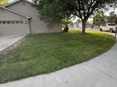 Lawn care service in Nampa, 83686