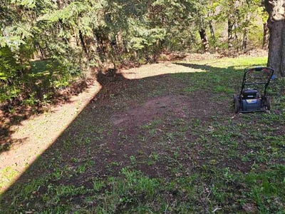 Lawn care service in Manchester, 06042