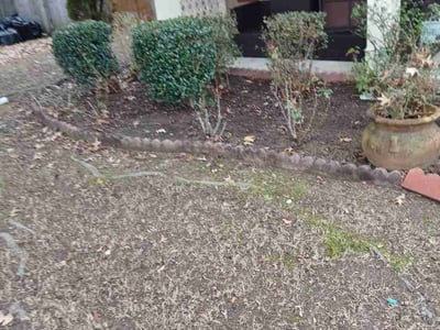 Lawn care service in Braselton, 30517