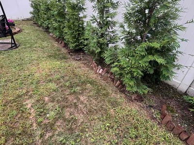 Lawn care service in Deer Park, 11729