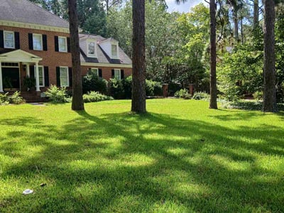 Lawn care service in Columbia, 29223