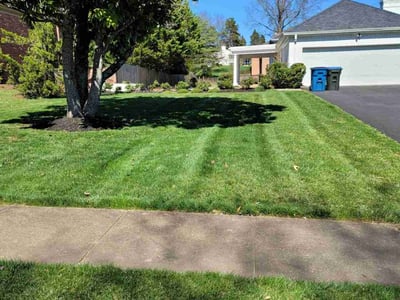 Lawn care service in McLean, 22101