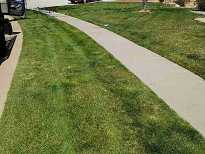 Lawn care service in Colorado Springs, 80919