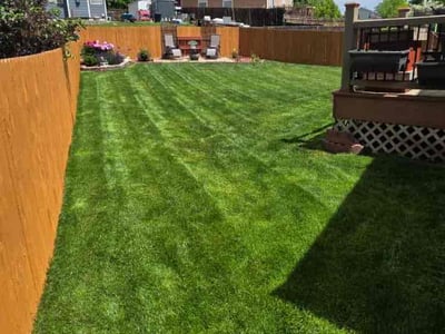 Lawn care service in Northglenn, 80233