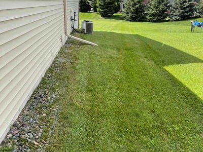 Lawn care service in Blaine, 55449
