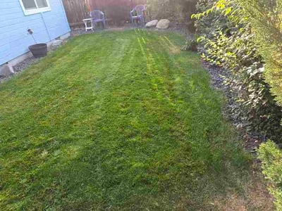 Lawn care service in Boise, 83713