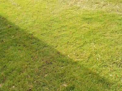 Lawn care service in Prattville, 36066