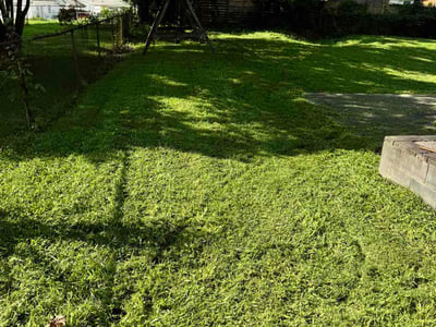 Lawn care service in Charlotte, 28216