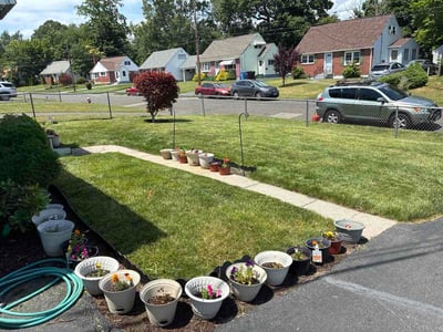 Lawn care service in New Britain, 06053