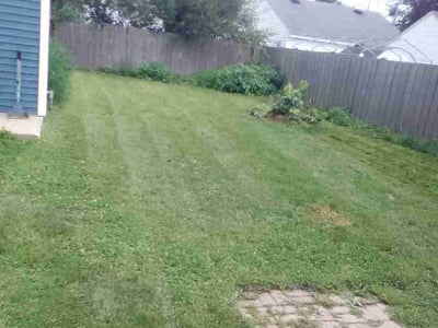Lawn care service in Kenosha, 53144