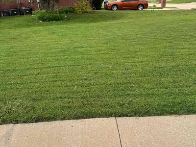 Lawn care service in Denton, 76210