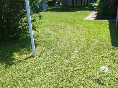 Lawn care service in Porter, 77365