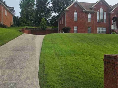 Lawn care service in McCalla, 35111
