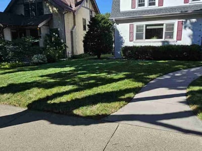 Lawn care service in Minneapolis, 55419