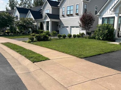 Lawn care service in Charlottesville, 22902