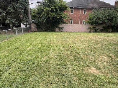 Lawn care service in Westerville, 43081