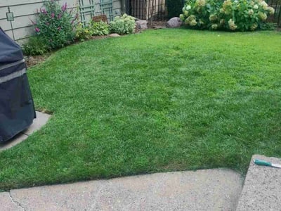 Lawn care service in Minneapolis, 55406